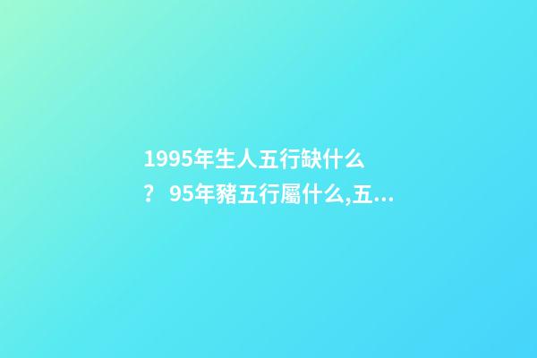 1995年生人五行缺什么？ 95年豬五行屬什么,五行缺什么-第1張-觀點-玄機派